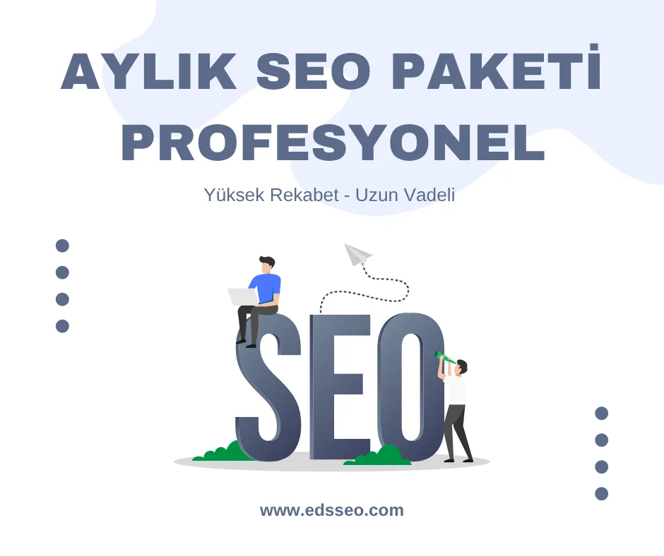 Aylık Seo Paketi – Profesyonel Paket
