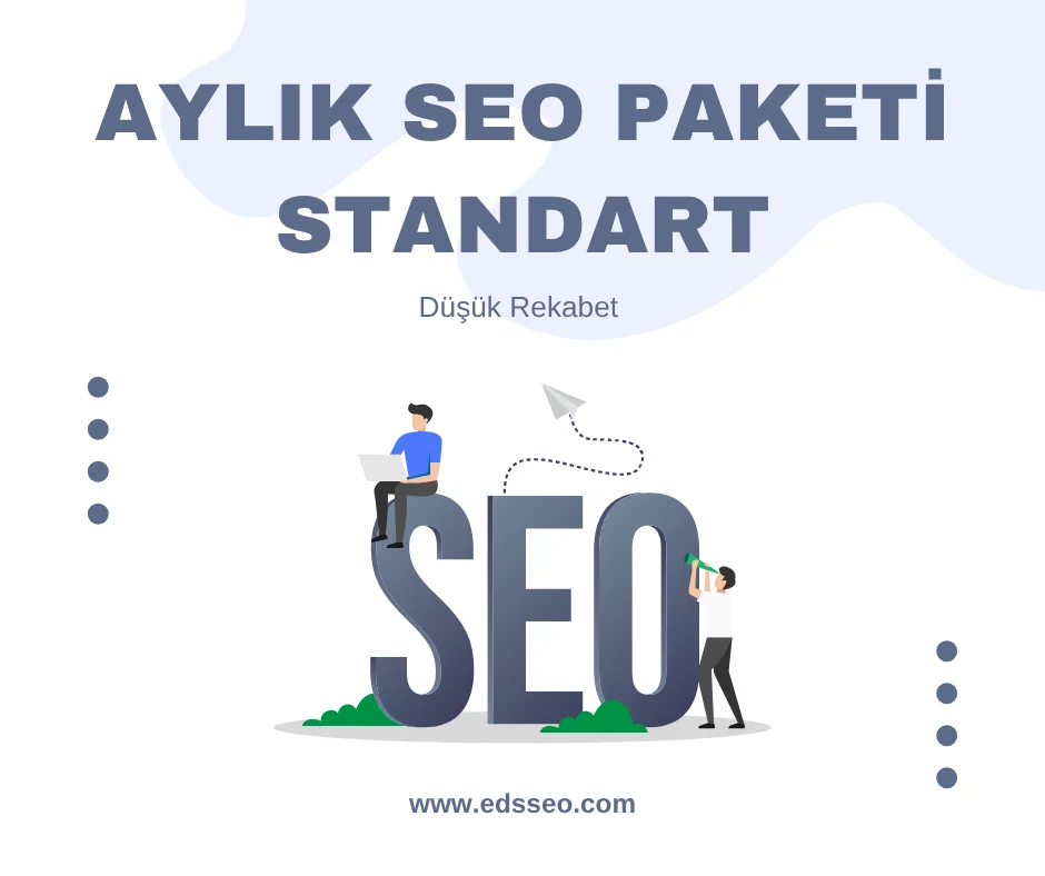 Aylık Seo Paketi – Standart Paket